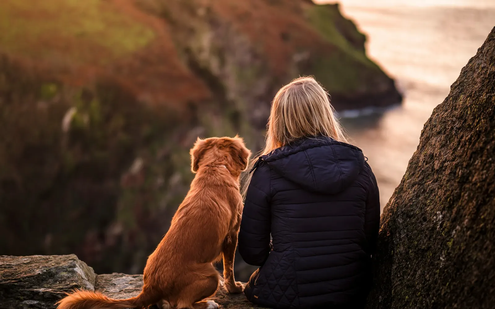 A person sitting beside a dog on a cliff above the sea